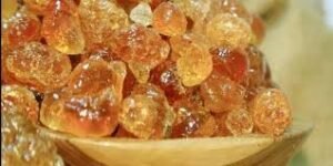 لواء دكتور إسماعيل أبوشوك: الصمغ العربي، الكنز المهمل