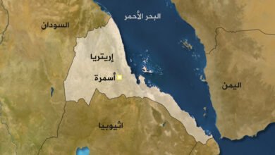 e5678d16 5566 414a ba65 94fe175f20fc