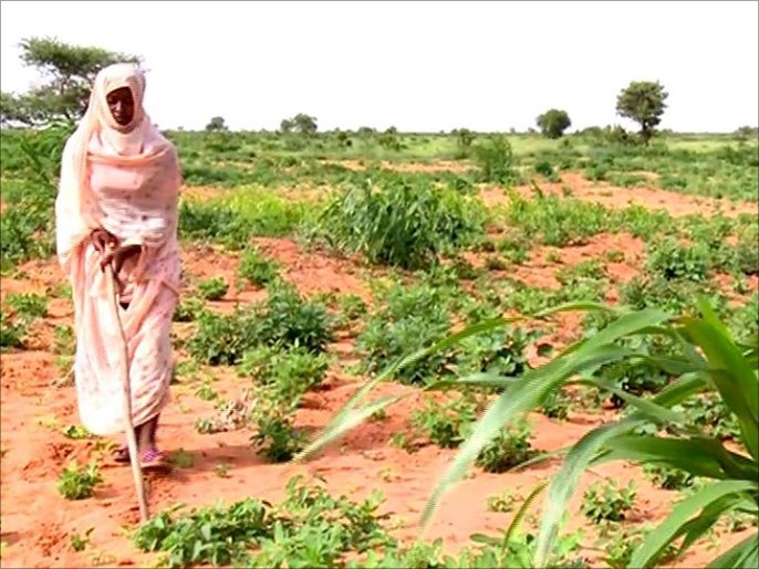 f6069aab 7346 4771 94f4 ed57bbdcbeb1