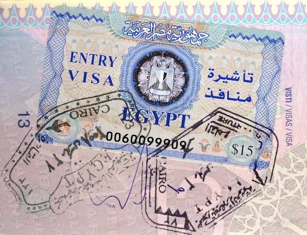 القنصل المصري بحلفا يعلن بشريات! 11 images 26