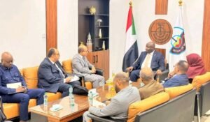 مصر تدخل مجالا جديدا للاستثمار في السودان.. تفاصيل مهمة 14 مصر تدخل مجالا جديدا للاستثمار في السودان.. تفاصيل مهمة