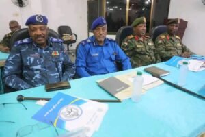 إجراء مهم تجاه الحركات المسلحة إنفاذا لقرار سيادي 