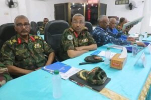 إجراء مهم تجاه الحركات المسلحة إنفاذا لقرار سيادي 