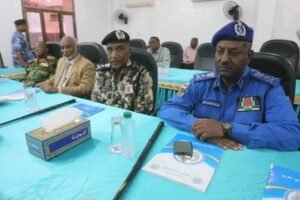 إجراء مهم تجاه الحركات المسلحة إنفاذا لقرار سيادي 