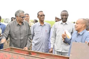 السودان يواجه القطع الجائر الغابي بخطوة مهمة 