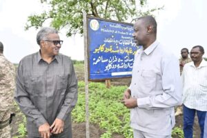 السودان يواجه القطع الجائر الغابي بخطوة مهمة 