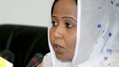 إشراقة سيد محمود: نحن والبراؤون في خندق واحد 16 3365