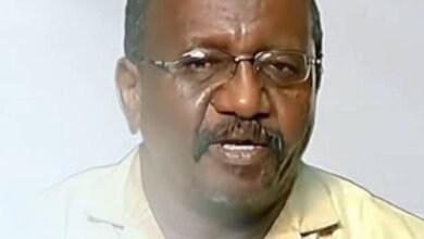 IMG 20250729 WA0015 1