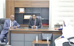 الشمالية تكشف عن بدائل للكهرباء للتوسع في الإنتاج الزراعي 