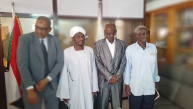 IMG 20250803 WA0010 1