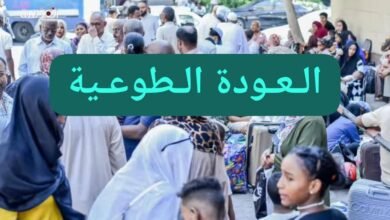 IMG 20250805 WA0003 1