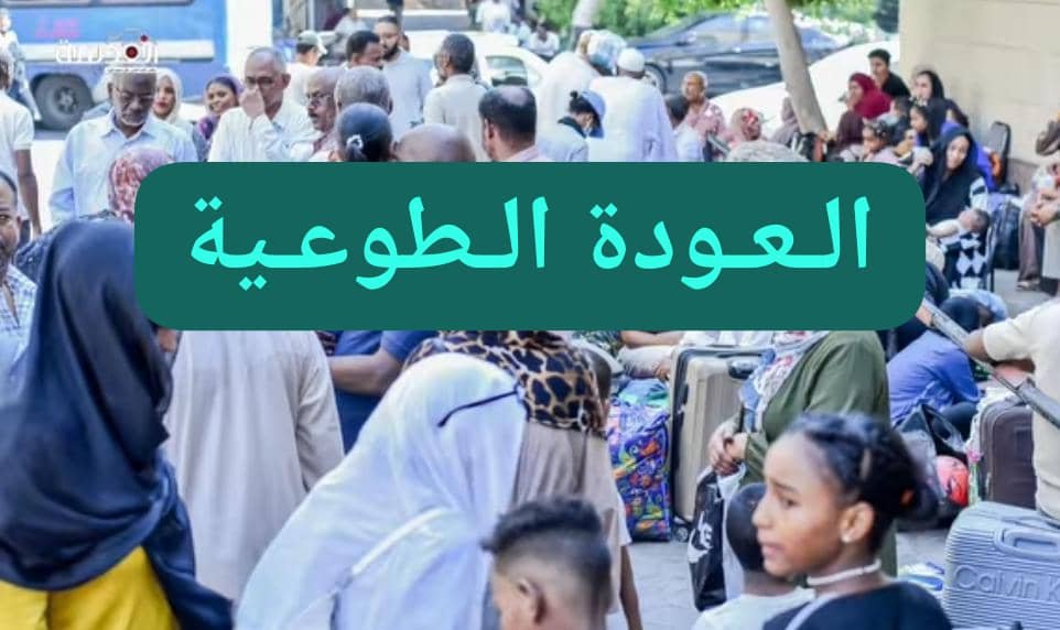 IMG 20250805 WA0003 1