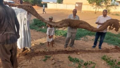 مفاجأة في خط ناقل المياه بأمبدة.. ماذا وجد الفريق الهندسي! 19 IMG 20250805 WA00061