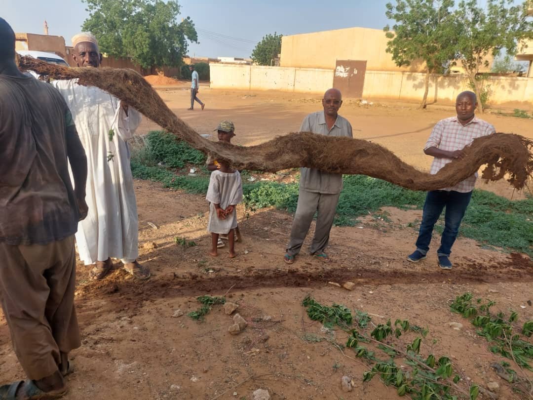 IMG 20250805 WA00061