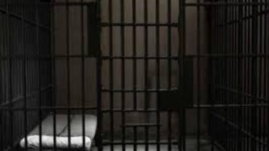 إطلاق سراح 112 سجينا.. ماذا هناك! 17 IMG 20250813 WA0041