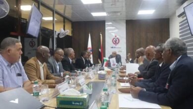 ترتيبات لجذب رؤوس الأموال إلى السودان للإستثمار في الطاقة 14 IMG 20250814 WA00151