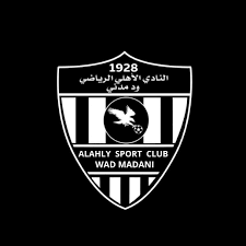 أهلي مدني يخطف لاعبا من الإمارات 13 أهلي مدني يخطف لاعبا من الإمارات