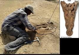 اكتشاف نادر على نهر عطبرة عمره 90 ألف سنة