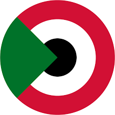 ضربات جوية دقيقة أعاقت حركة المليشيا بمحور بارا