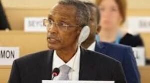 الحكومة تقدم تنويرًا لـ”الصليب الأحمر” بشأن تورط المرتزقة 