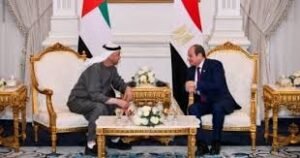 الرئيس الإماراتي يزور مصر ويستقبله السيسي 12 الرئيس الإماراتي يزور مصر ويستقبله السيسي