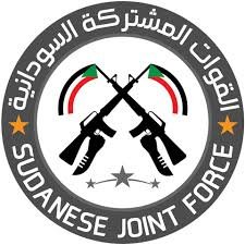 تحقيق بسبب  هروب 9 أسرى من المليشيا 