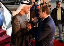 الرئيس الإماراتي يزور مصر ويستقبله السيسي 13 الرئيس الإماراتي يزور مصر ويستقبله السيسي