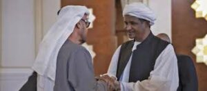 بيان إماراتي مثير للجدل حول السودان 13 بيان إماراتي مثير للجدل حول السودان