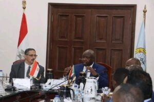 الكشف عن ترتيبات لإنشاء تحالف استراتيجي سوداني-مصري في المعادن 12 الكشف عن ترتيبات لإنشاء تحالف استراتيجي سوداني-مصري في المعادن
