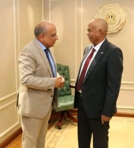 ترتيبات عاجلة بشأن الربط الكهربائي السوداني المصري 