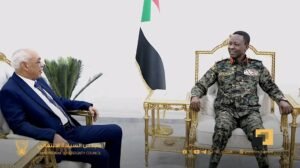 تفاصيل لقاء الكباشي برئيس المحكمة الدستورية