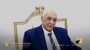 تفاصيل لقاء الكباشي برئيس المحكمة الدستورية