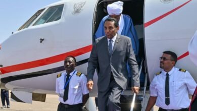 853d62d7 7dfc 492c 9594 0931a66fa218