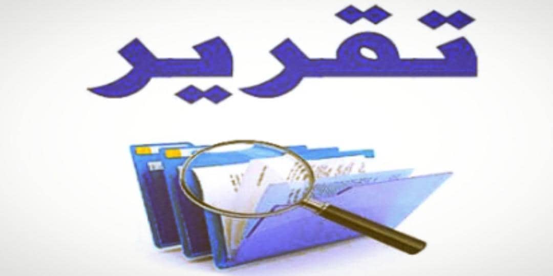 فوضى شركات الصادر.. الأزمة مستمرة 11 IMG 20250630 WA00061 1
