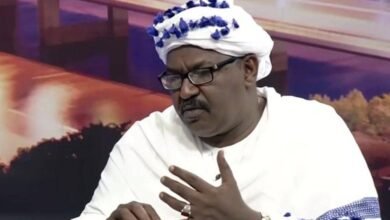 الطاهر ساتي يكتب: الجنجويد فكرة.. (1) 15 IMG 20250801 WA00351