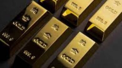 IMG 20250809 WA00192