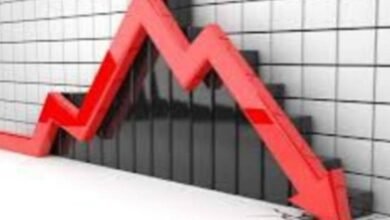 IMG 20250814 WA0010 1