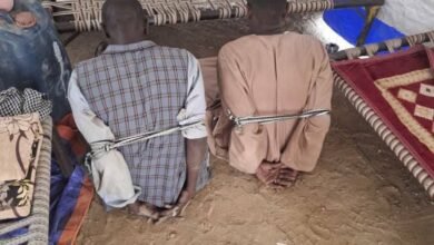 IMG 20250901 WA00321