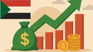 ولاية سودانية تعلن عن زيادة مرتبات العاملين 17 IMG 20250907 WA0014 2