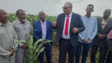 الكشف عن خطة لإنعاش القطاع الزراعي بالسودان 16 IMG 20250920 WA0007