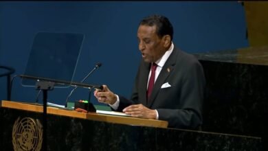 د سامية علي تكتب: خطاب كامل في نيويورك.. اختراق حقيقي! 