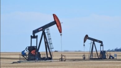 Screenshot 20250902 090640 Chrome