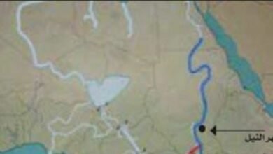 Screenshot 20250917 115222 Chrome