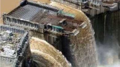 Screenshot 20250929 093033 Chrome