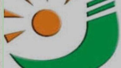 Screenshot 20250929 094123 Chrome