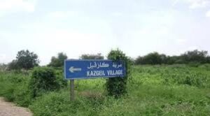 الجيش يحرر مواقع مهمة بكردفان.. تفاصيل