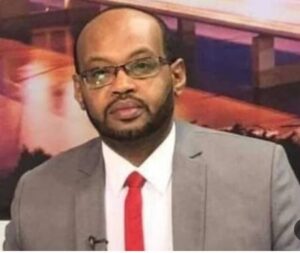 محمد عبد القادر يكتب: أماني الطويل.. تنمر مرفوض