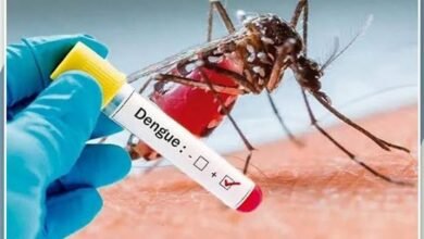 انتشار كبير لحمى الضنك جنوب الخرطوم