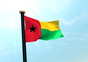 اتفاق بين السودان وغينيا للتنسيق في المحافل الإقليمية والدولية 