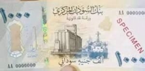 خبراء يكشفون الأسباب الحقيقية لانهيار الجنيه ويدفعون بالحلول 